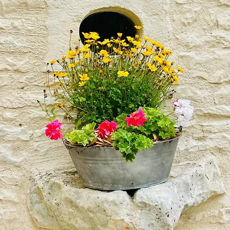 La Petite Maison D A Cote 別荘